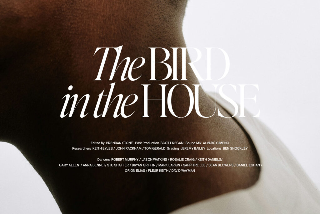 Editor's note display 16 weight display serif font typeface by Jen Wagner co for headers, logos, websites, branding, graphic design movie title bird in the house